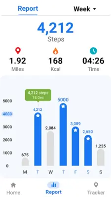 Pedometer - Step Tracker android App screenshot 2